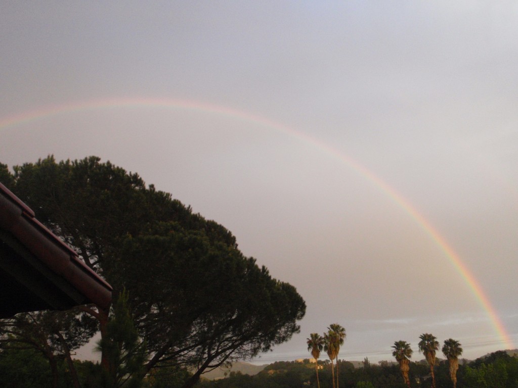 A Perfect Rainbow!